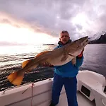 Lofoten Finnhavn Ovre - Panoramic View Дом отдыха