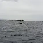 Дом отдыха Lofoten Finnhavn Ovre - Panoramic View Сёрвоген