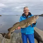 Lofoten Finnhavn Ovre - Panoramic View Дом отдыха