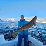 Lofoten Finnhavn Ovre - Panoramic View * Сёрвоген