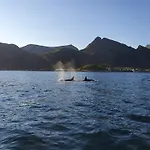 Lofoten Finnhavn Ovre - Panoramic View * Сёрвоген