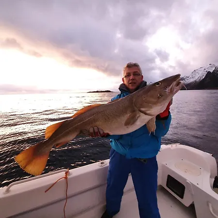 Lofoten Finnhavn Ovre - Panoramic View Сasa de vacaciones
