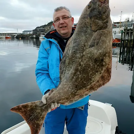 Lofoten Finnhavn Ovre - Panoramic View *