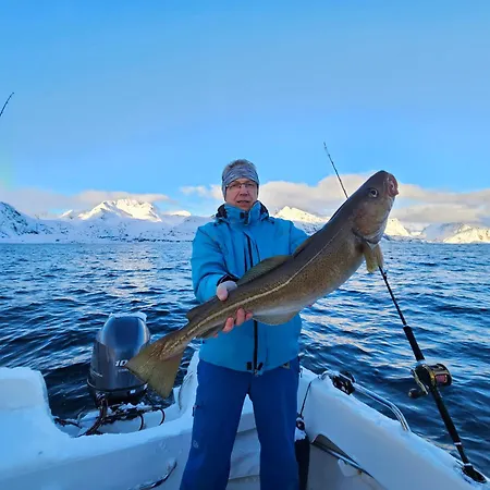 Lofoten Finnhavn Ovre - Panoramic View * Sørvågen