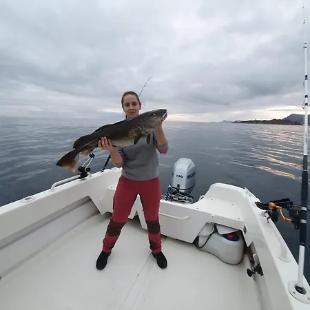 Сasa de vacaciones Lofoten Finnhavn Ovre - Panoramic View Sørvågen