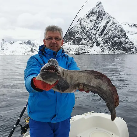 Lofoten Finnhavn Ovre - Panoramic View * Sørvågen