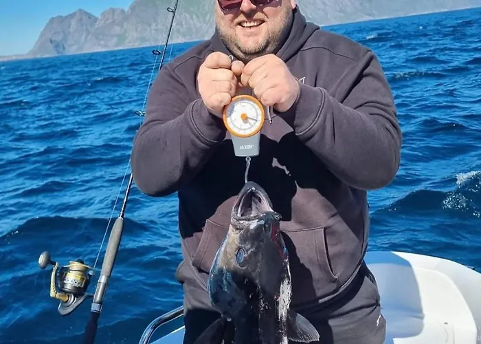 Semesterbostad Lofoten Finnhavn Ovre - Panoramic View Sørvågen