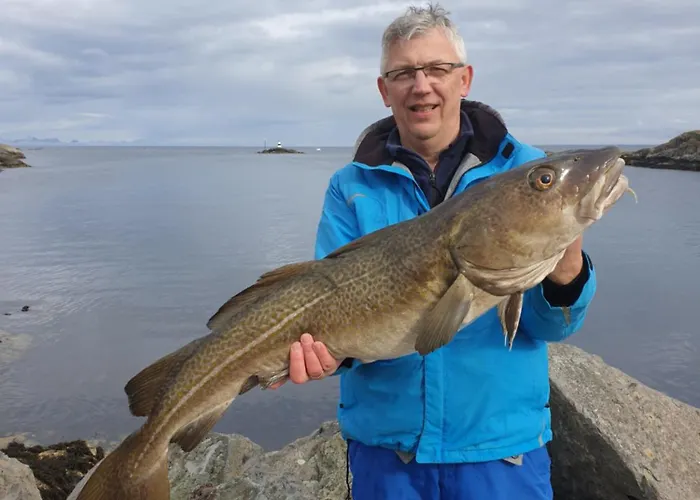 Lofoten Finnhavn Ovre - Panoramic View Semesterbostad