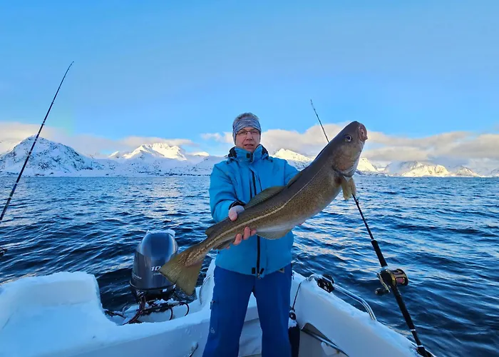 Lofoten Finnhavn Ovre - Panoramic View * Sørvågen