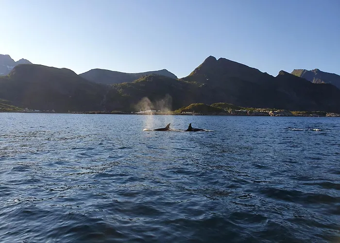 Lofoten Finnhavn Ovre - Panoramic View * Sørvågen