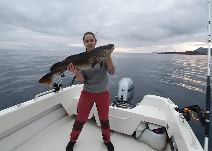 Semesterbostad Lofoten Finnhavn Ovre - Panoramic View Sørvågen
