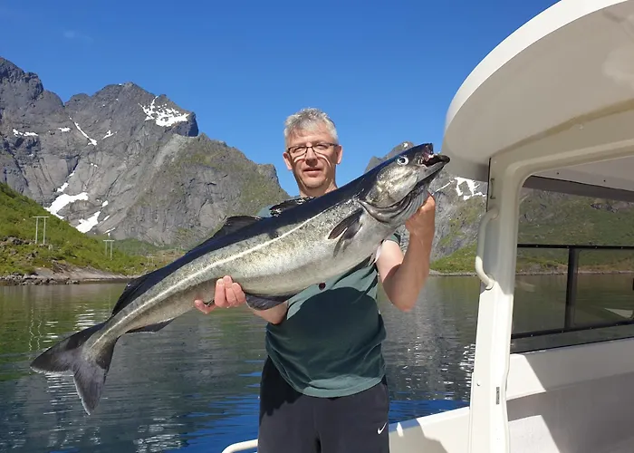 Lofoten Finnhavn Ovre - Panoramic View Sørvågen