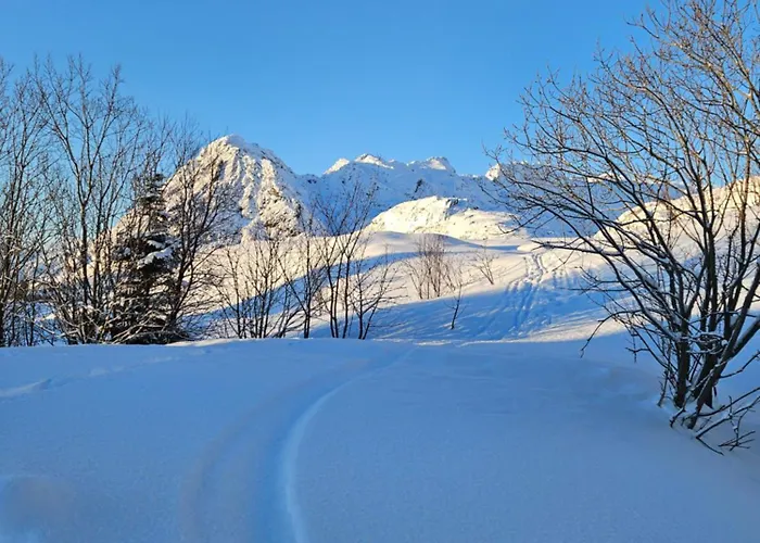 Lofoten Finnhavn Ovre - Panoramic View Semesterbostad *