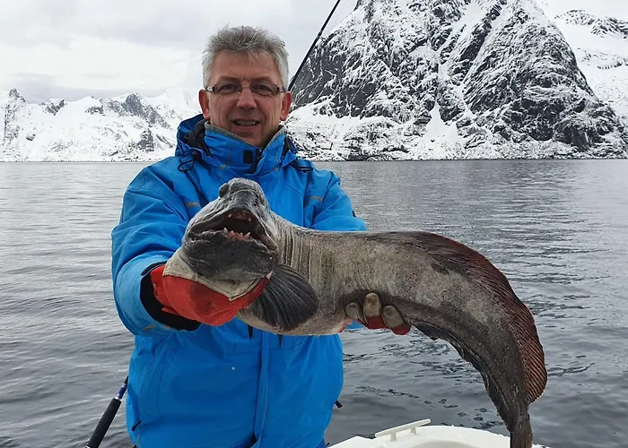 Lofoten Finnhavn Ovre - Panoramic View * Sørvågen