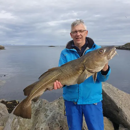 Lofoten Finnhavn Ovre - Panoramic View Prázdninový dům