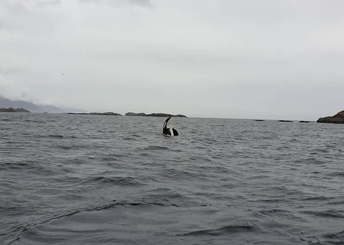 펜션 Lofoten Finnhavn Ovre - Panoramic View Sørvågen